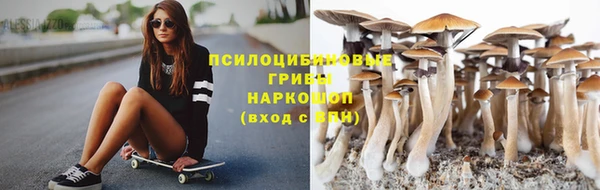 а пвп мука Абаза