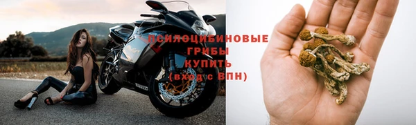 а пвп мука Абаза