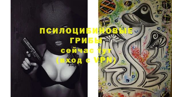 а пвп мука Абаза
