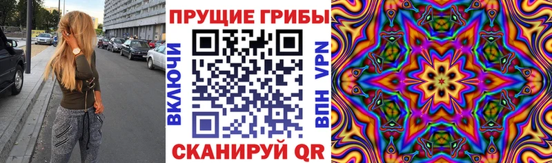 блэк спрут   Ак-Довурак  Псилоцибиновые грибы Psilocybine cubensis 